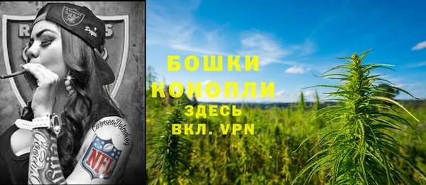 mix Гусев