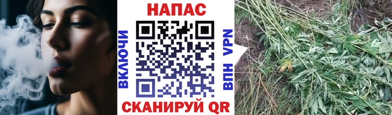 закладки кракен Бошки марихуана план Курган